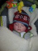 christmas_2008_01.jpg