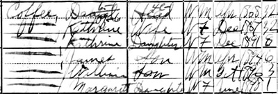 Daniel Coffey family, 1900 census