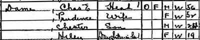 Helen (Riley) and Chester Dame family, 1920 Census