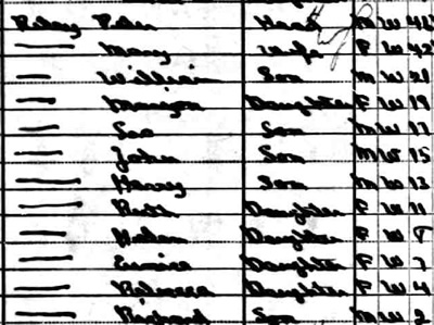 Peter and Mary (Coffey) Riley Family, 1910 Census