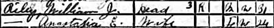 Williamand Anastasia Riley, 1920 Census