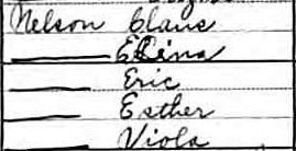 Nelsons, 1920 census