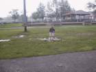 dope200813_small.jpg